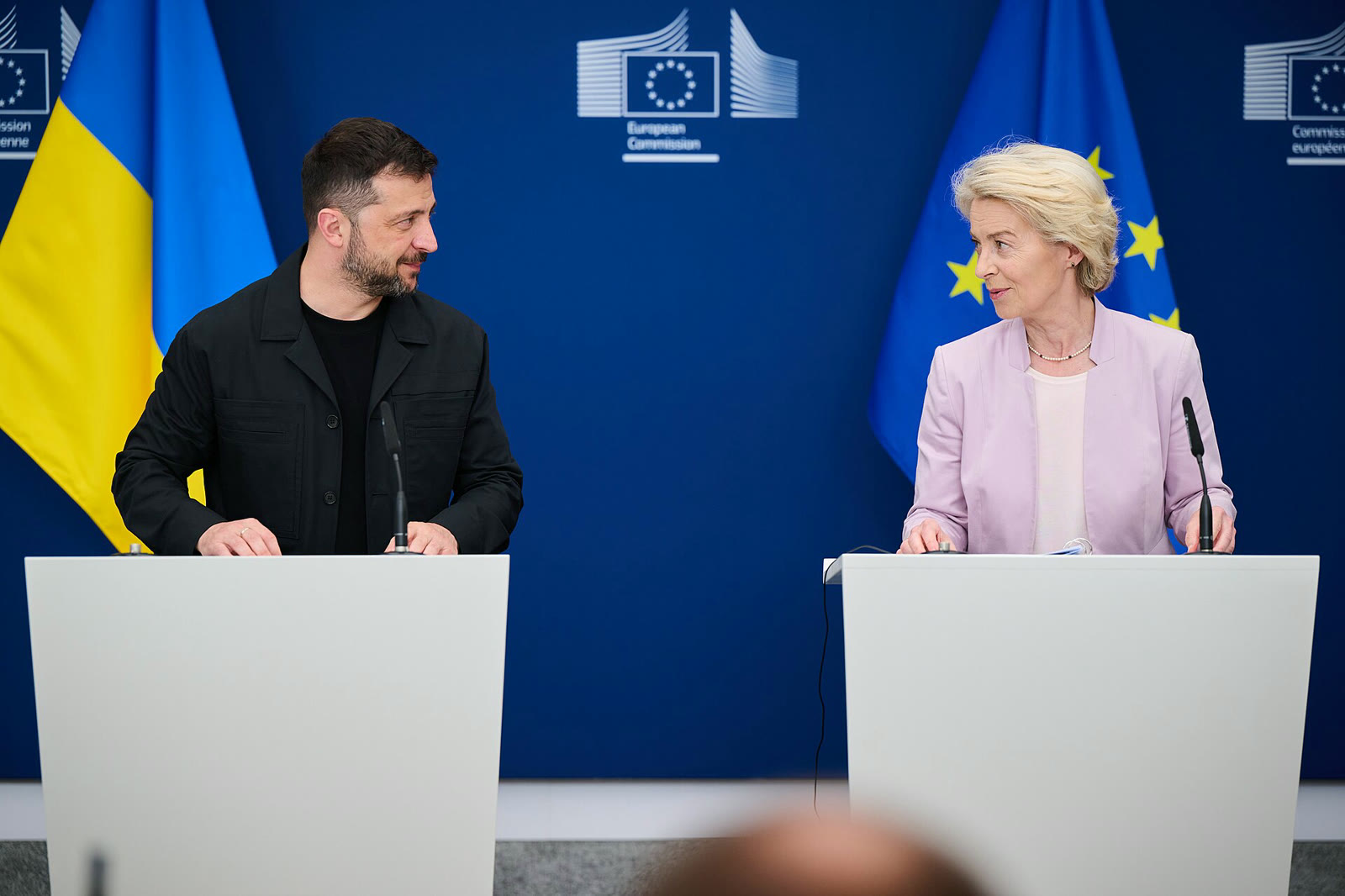Ukrayna Devlet Başkanı Volodimir Zelenskiy (arşiv)