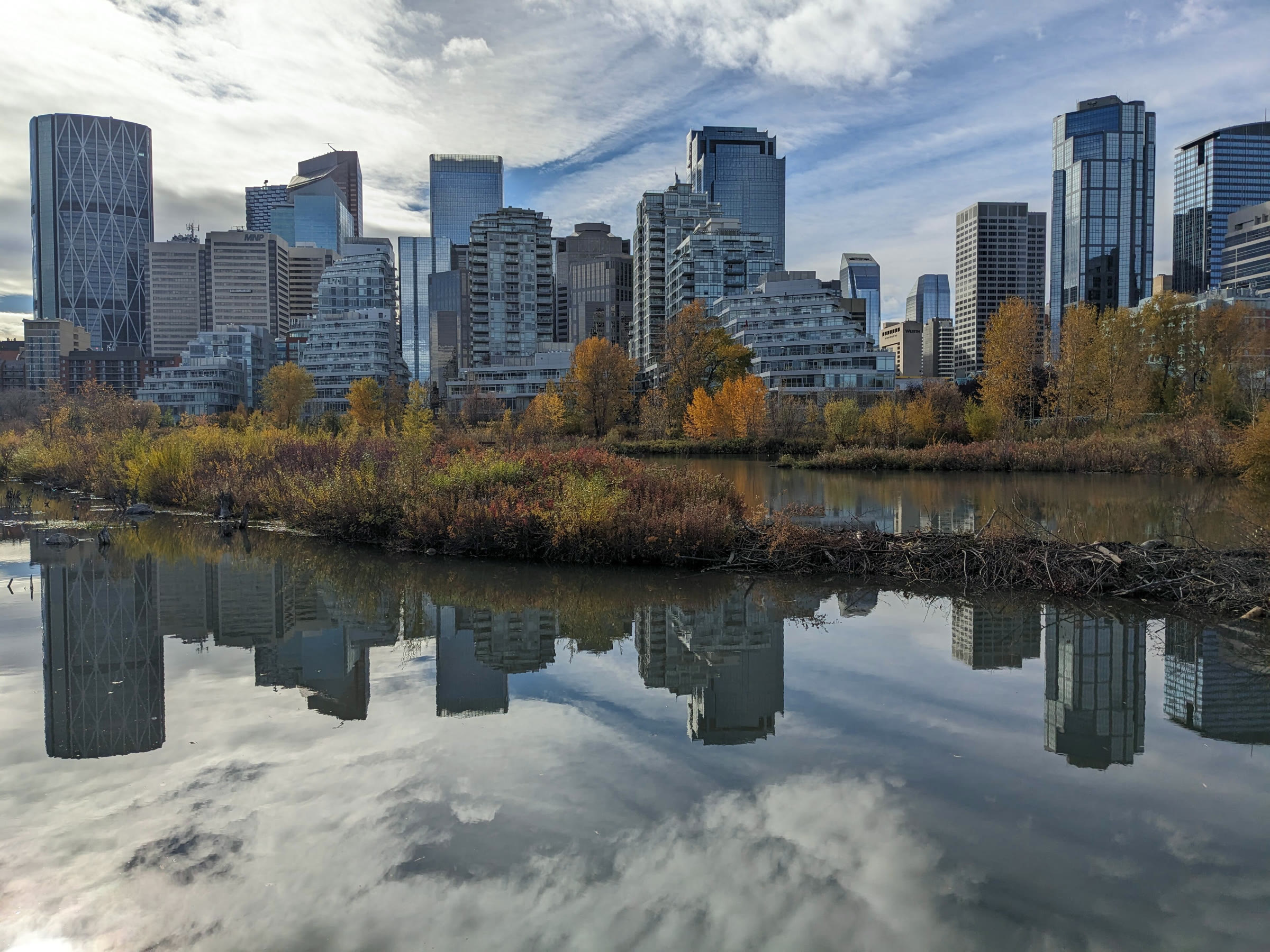 The Calgary skyline