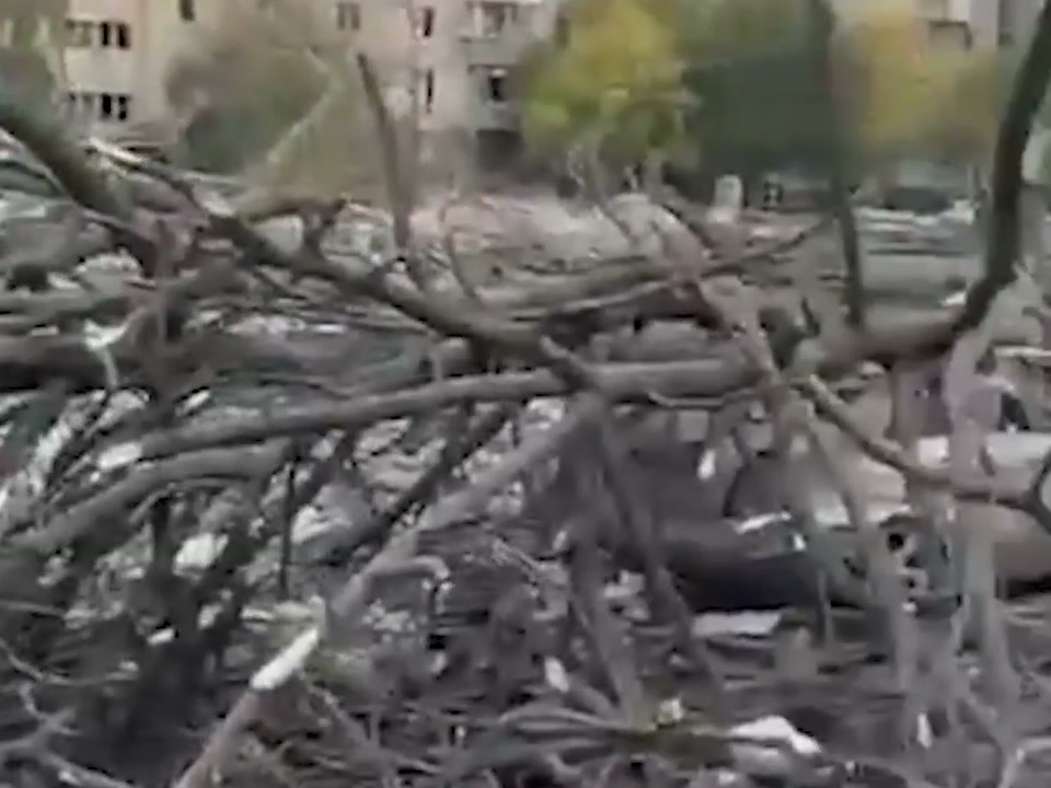 Damaged cars and fallen trees after the attack