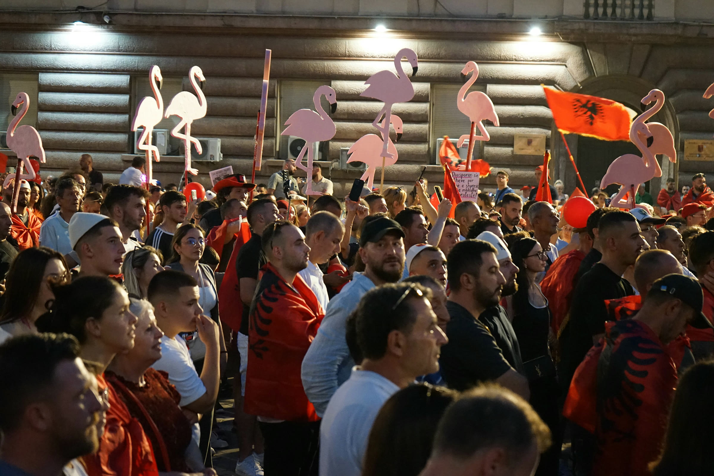 مجسمات طيور الفلامينغو في احتجاج بتيرانا، يونيو 2026